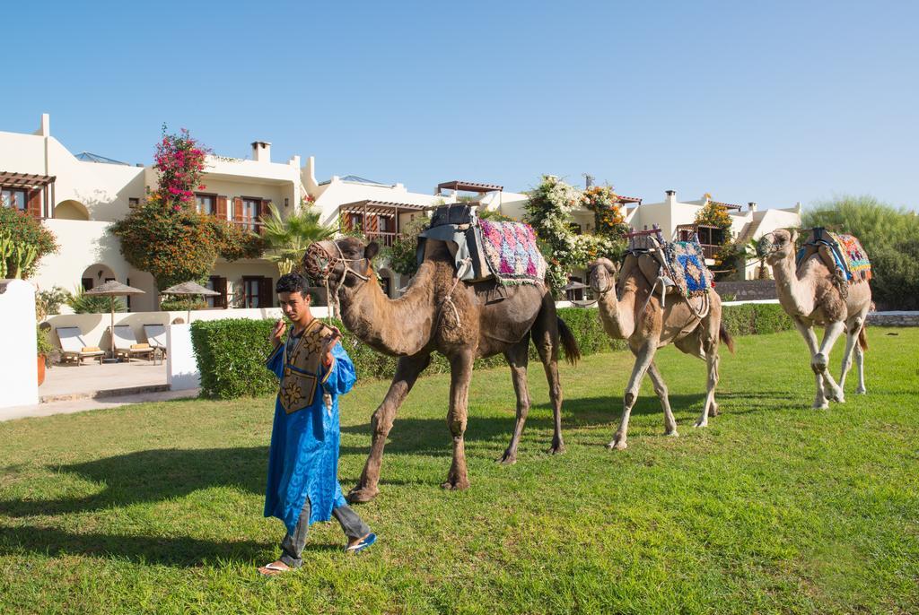 Rebali Riads ซิดี้คาโอกี ภายนอก รูปภาพ